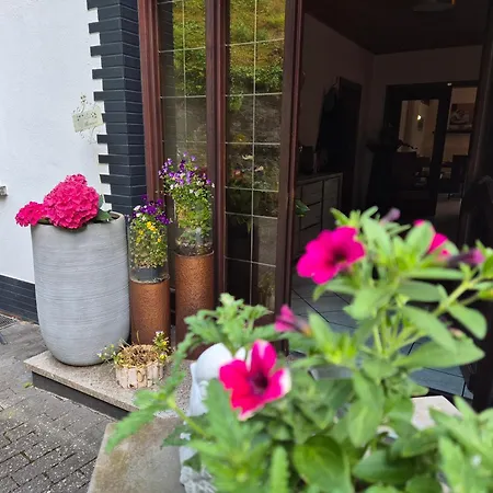 Haus Gruenewald 3*
