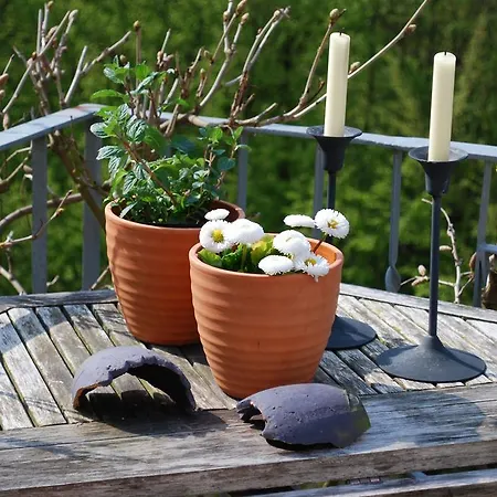 Haus Gruenewald 3*